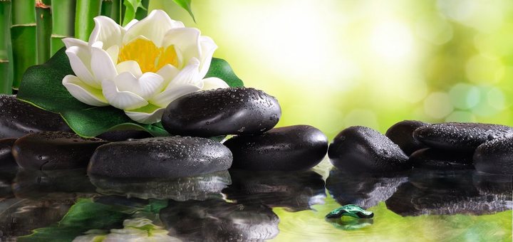 Relaxing Harp Ringtone Alarm