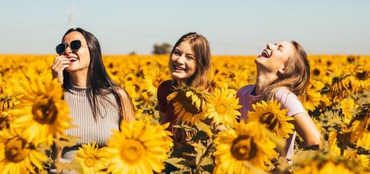 Sunflower Happiness Ringtone