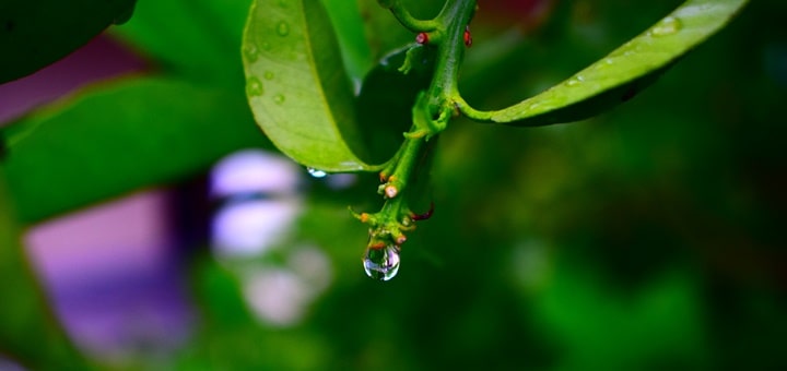 After the Rain Ringtone